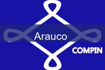 arauco